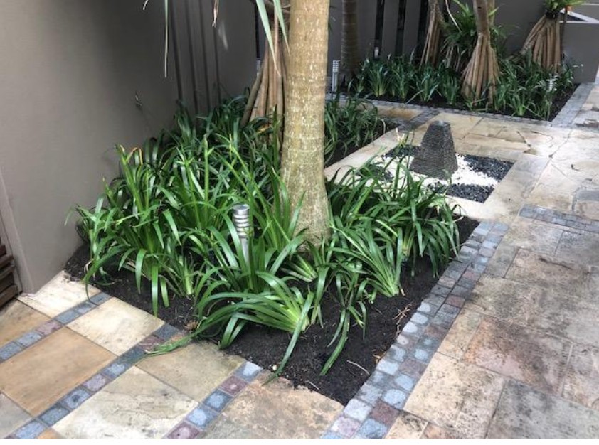 landscaping Northern Rivers