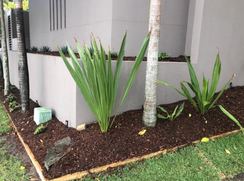 landscaping Northern Rivers