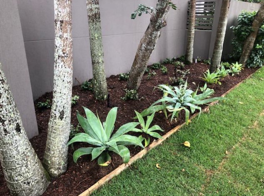 landscaping Northern Rivers