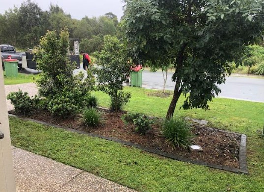 Green trees gardening