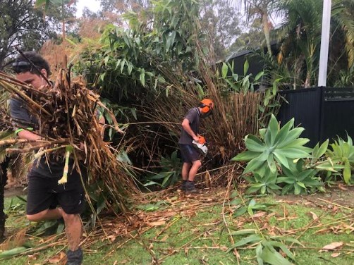 tugun garden maintenance